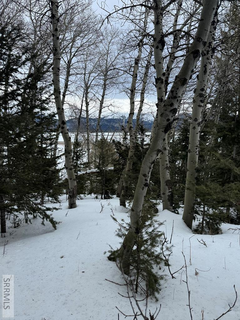 4788 Balsam Street, Island Park, ID 83429 - #1