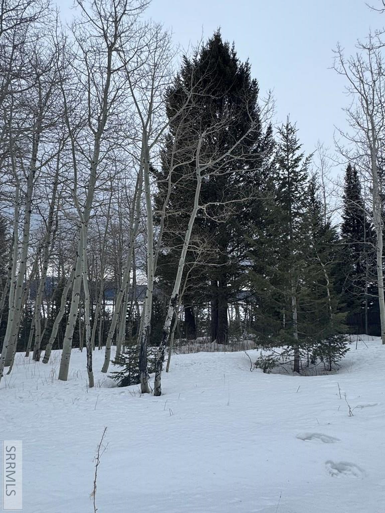 4788 Balsam Street, Island Park, ID 83429 - #2