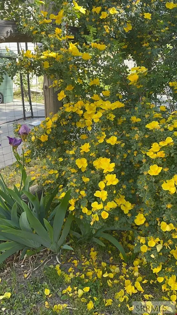 709 Johnson Street, Pocatello, ID 83204 - #3