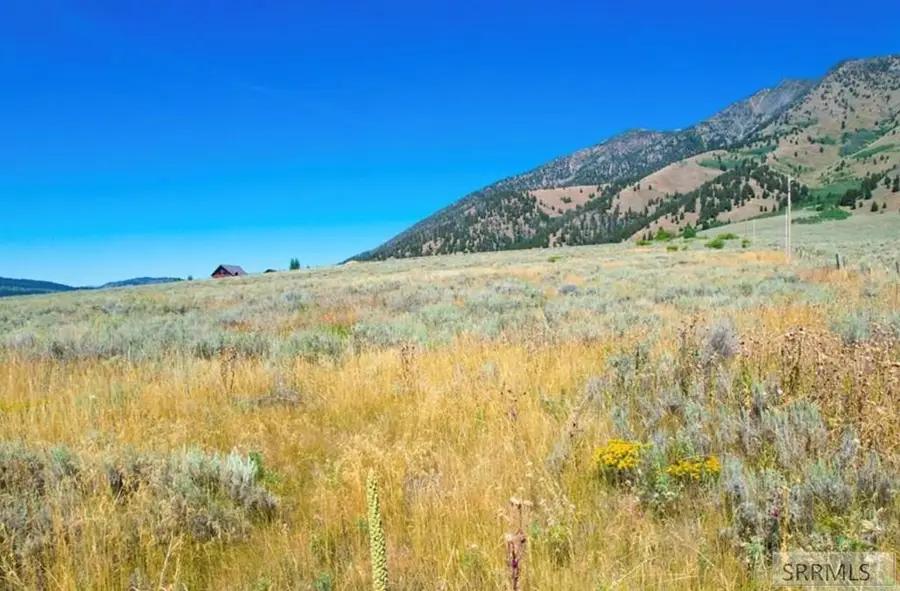 5540 Black Mountain Court, Island Park, ID 83429 - #3