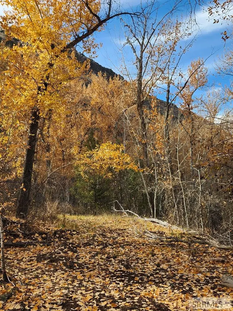TBD Burden Road, Salmon, ID 83467 - #3