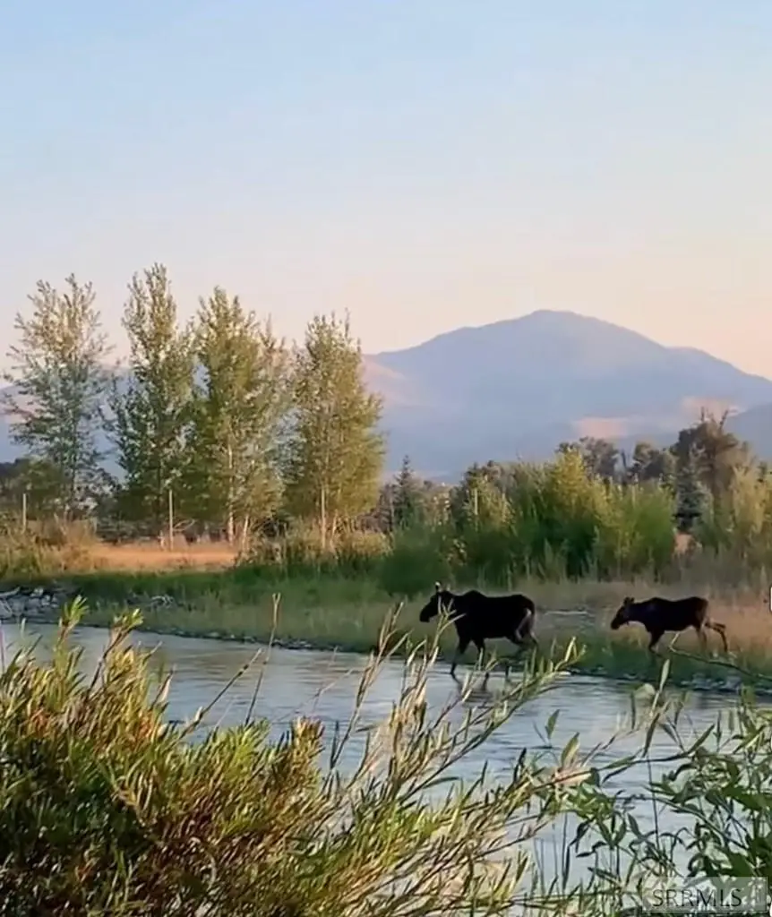 TBD 90.95 Houston Road, Mackay, ID 83251 - #2