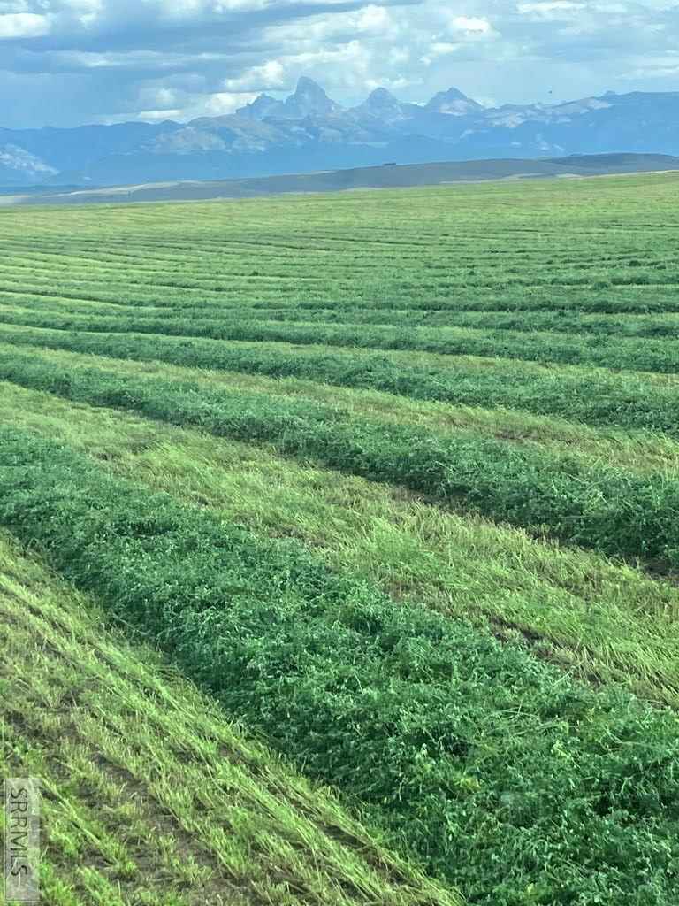 N 4485 9500 S, Felt, ID 83424 - #2