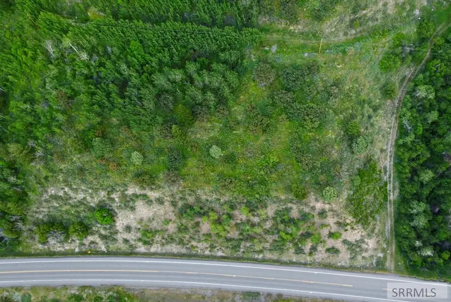 Lot 1 Swan Valley Hwy, Irwin, ID 83428 - #3