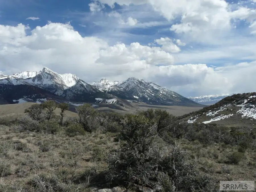 TBD 40ac 6500 N, Mackay, ID 83251 - #2