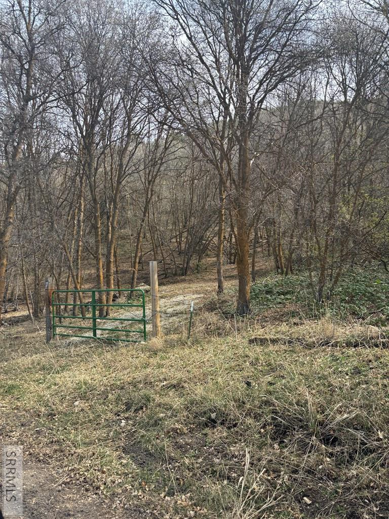 TBD Canyon Road, Grace, ID 83241 - #2