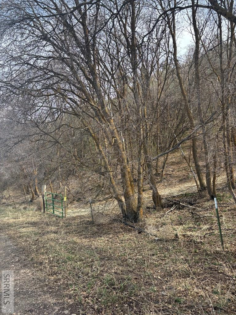 TBD Canyon Road, Grace, ID 83241 - #3