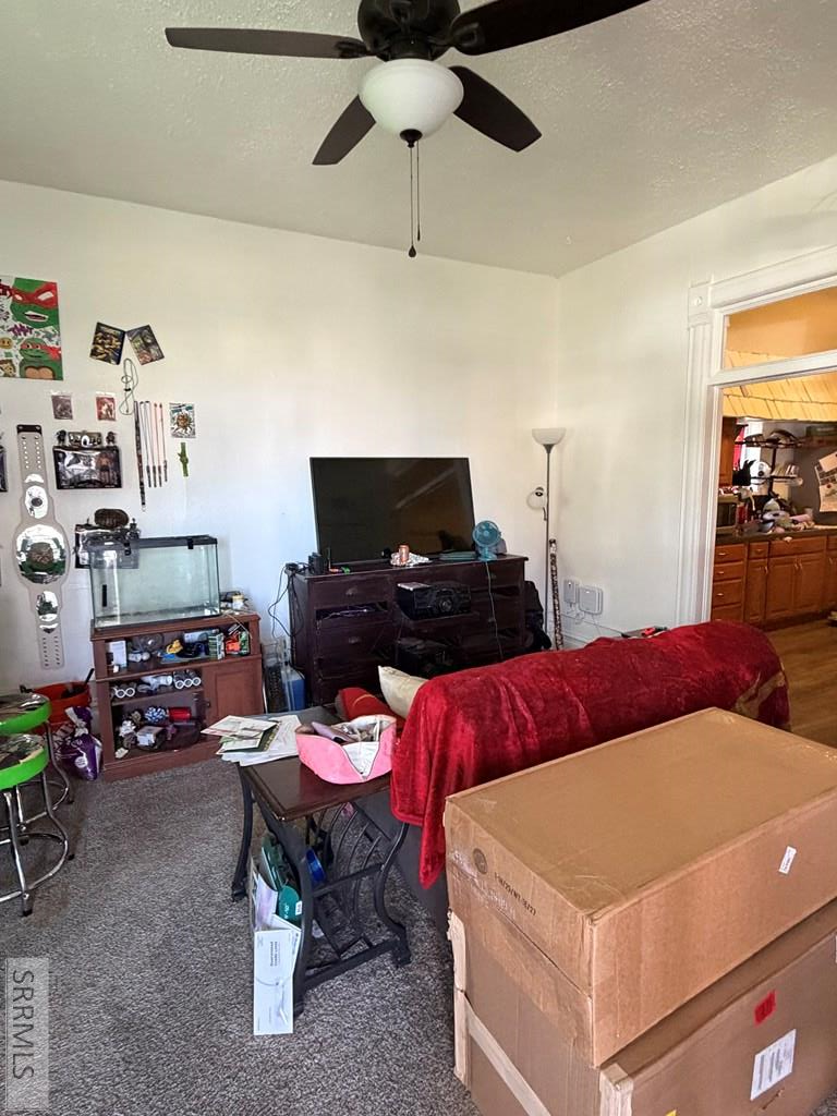 733 N Harrison Avenue, Pocatello, ID 83204 - #2