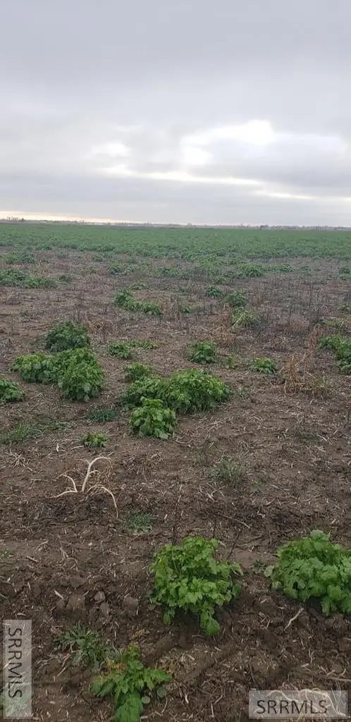 Lot 1 3800 S, Rexburg, ID 83440 - #3