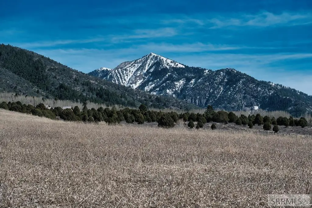 TBD Sumac Loop, Irwin, ID 83428 - #1