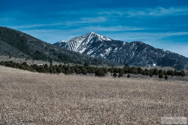 TBD Sumac Loop, IRWIN, ID 83428