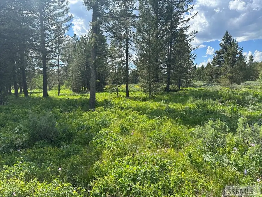 4095 Icehouse Creek Road, Island Park, ID 83429 - #2