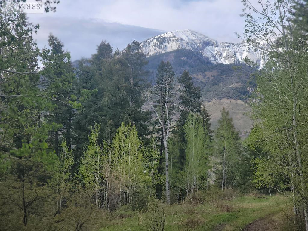 L31B4 Cutthroat Run, Irwin, ID 83428 - #1