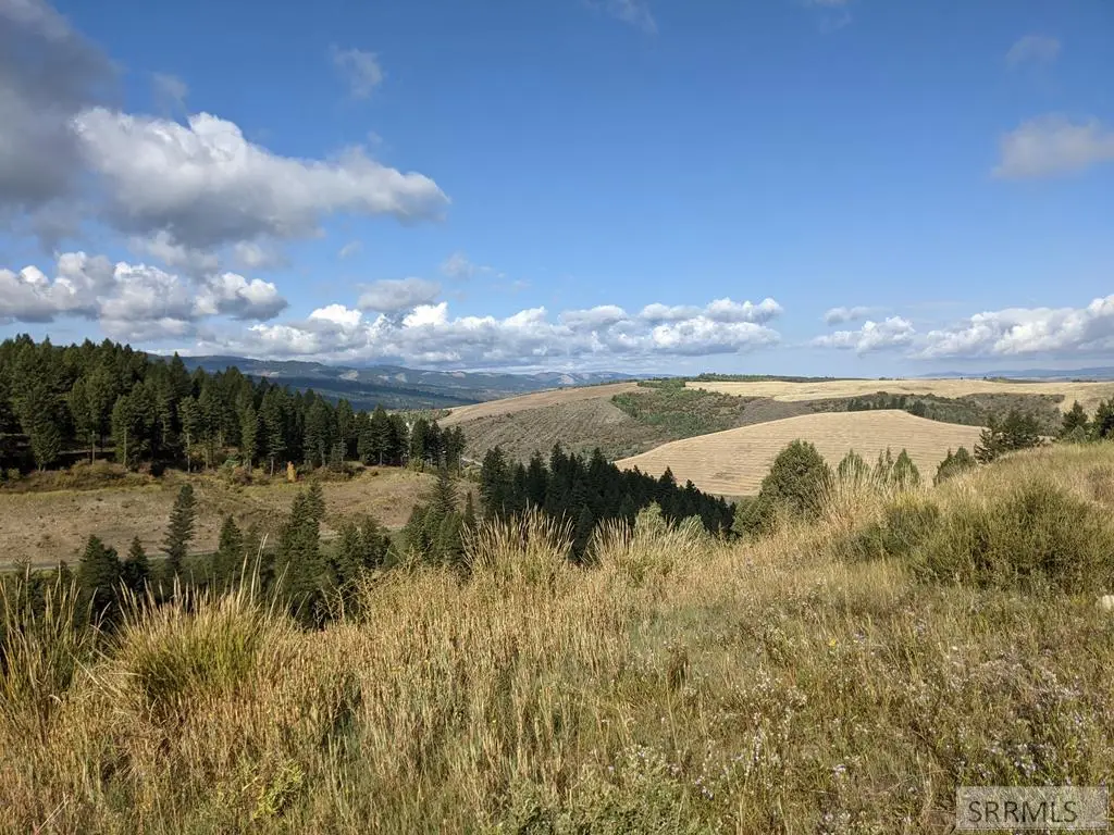 L50B4 Cutthroat Run, Irwin, ID 83428 - #1