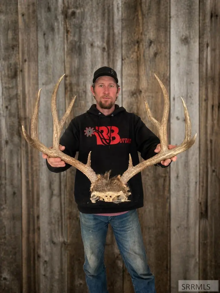 6902 West Clifton Basin Road, Clifton, ID 83228 - #2