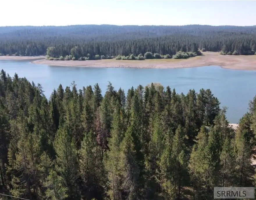 3780 Windy Pine Lane, Island Park, ID 83429 - #3