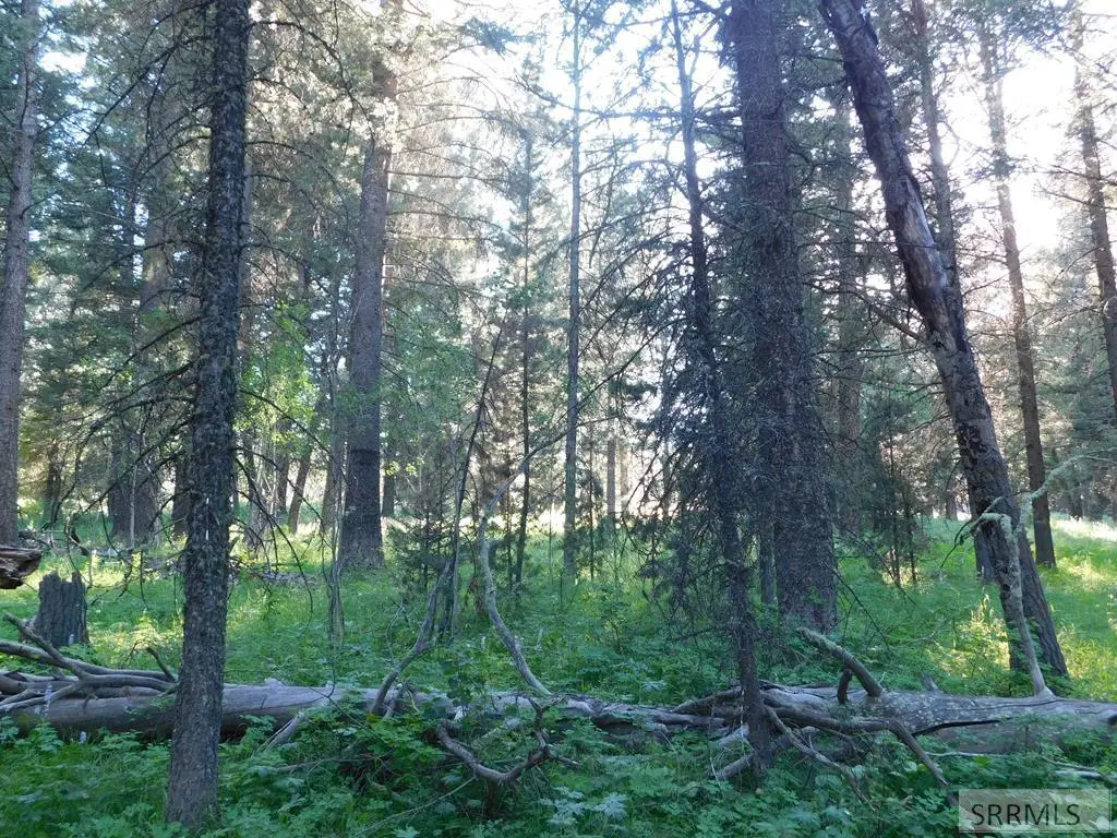 4911 Shadow Wood, Island Park, ID 83429 - #1