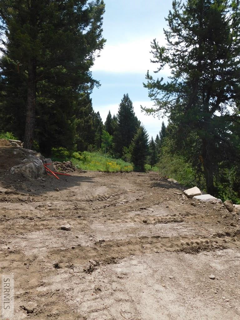 4911 Shadow Wood, Island Park, ID 83429 - #3