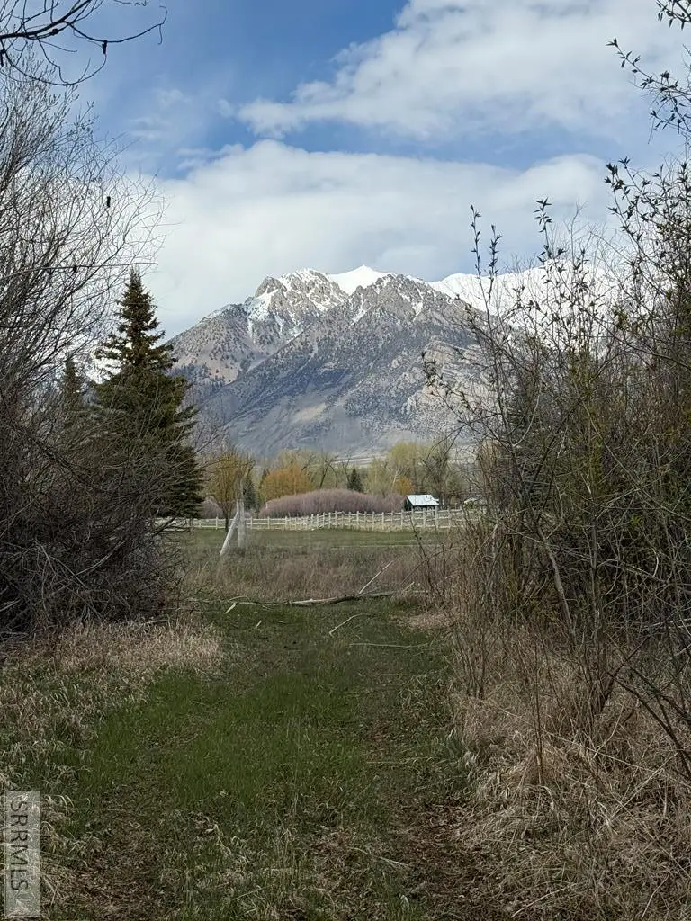 4333 Houston Road, Mackay, ID 83251 - #1