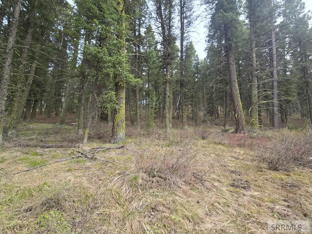 3548 Aspen Drive, Island Park, ID 83429 - #1