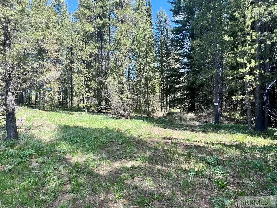 3545 Browning Road, Island Park, ID 83429 - #2