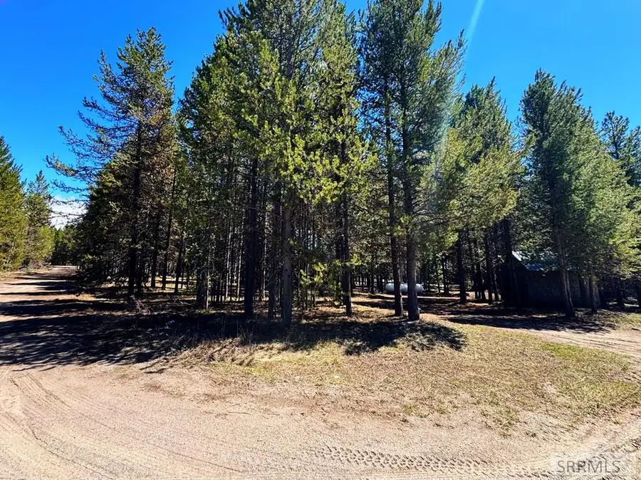 4066 Yale Creek Road, Island Park, ID 83429 - #2