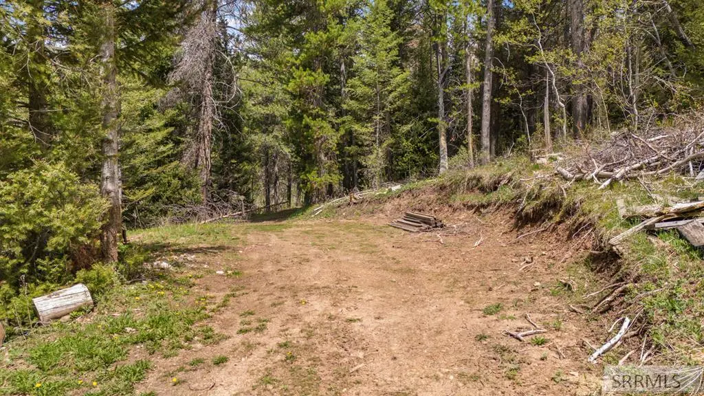 TBD Sellers Creek Road, Shelley, ID 83274 - #1