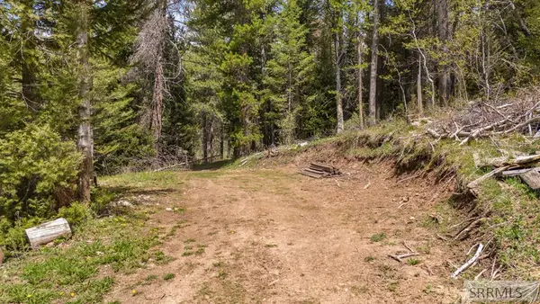 TBD Sellers Creek Road, SHELLEY, ID 83274