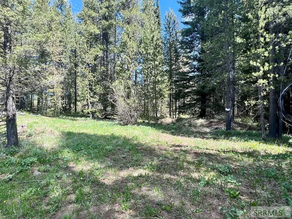3547 Browning Road, Island Park, ID 83429 - #1