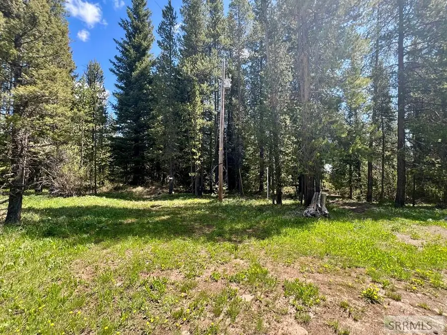 3547 Browning Road, Island Park, ID 83429 - #2