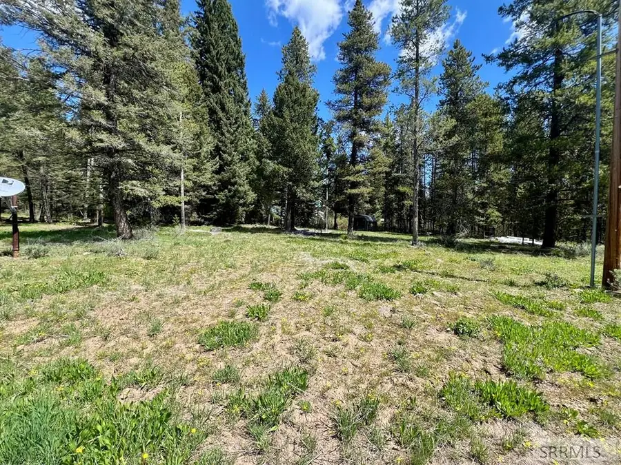 3547 Browning Road, Island Park, ID 83429 - #3