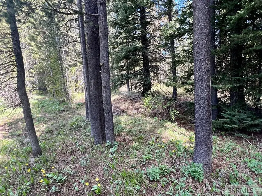 3549 Browning Road, Island Park, ID 83429 - #2