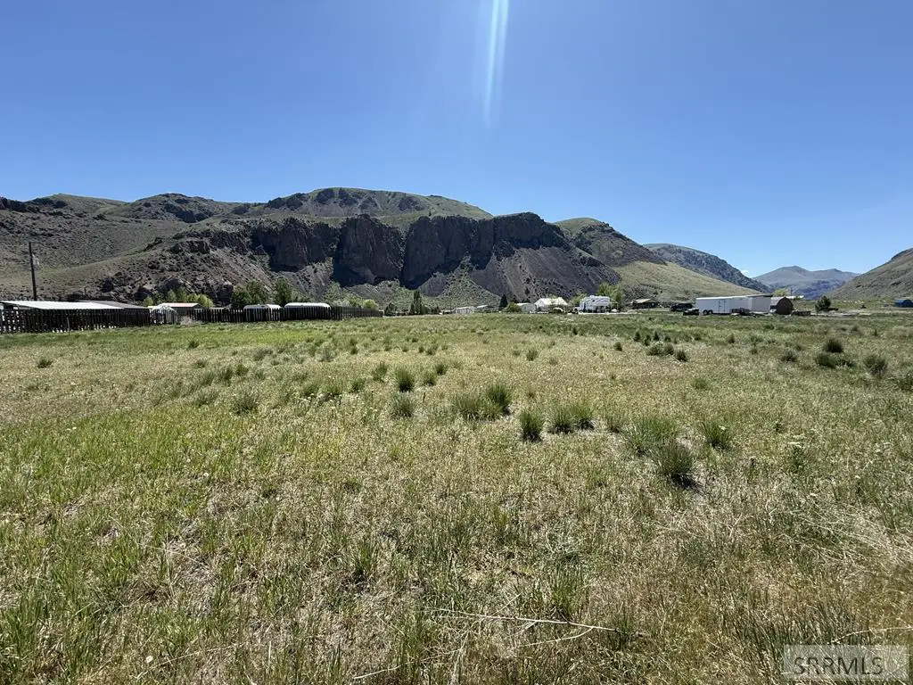TBD Quail Road, Salmon, ID 83467 - #1