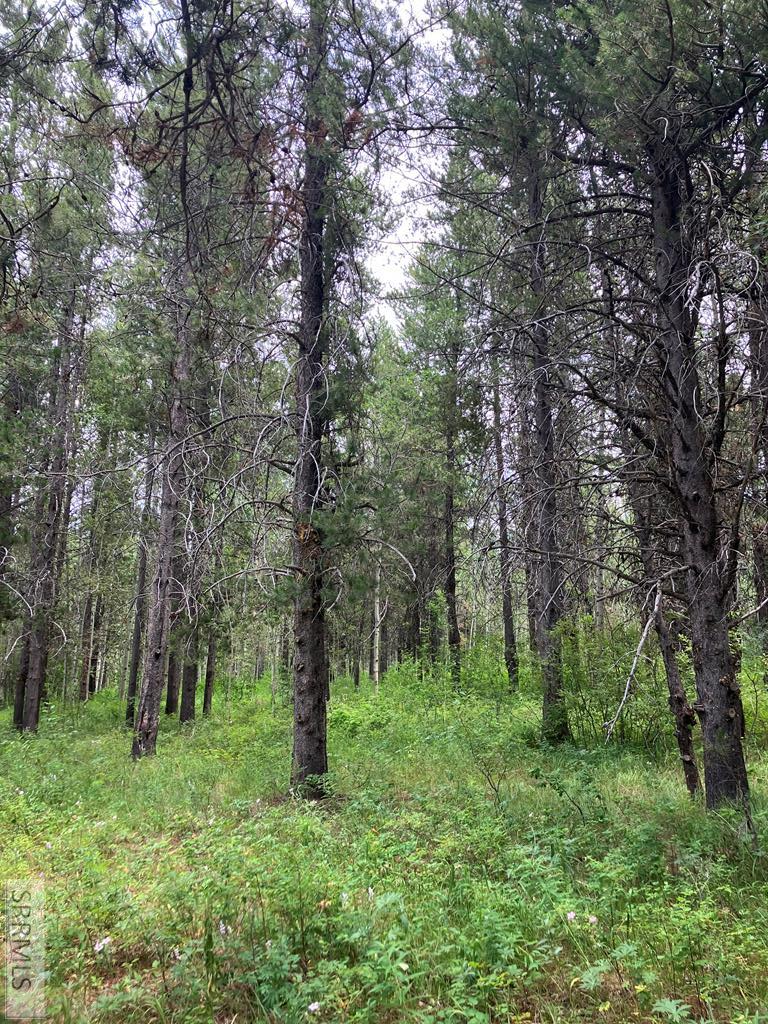1596 Annies Landing, Ashton, ID 83420 - #1