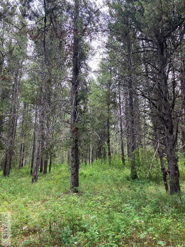 1596 Annies Landing, ASHTON, ID 83420