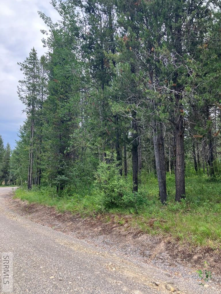1596 Annies Landing, Ashton, ID 83420 - #2