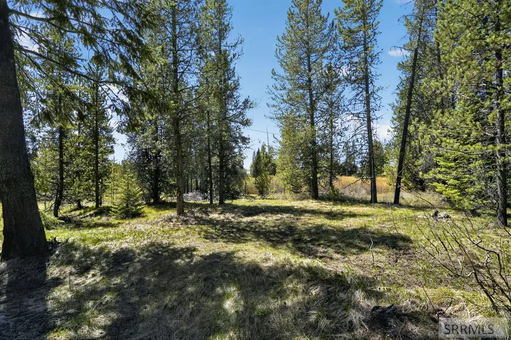 4047 Kickapoo Circle, Island Park, ID 83429 - #1