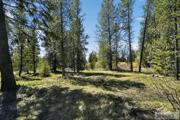 4047 Kickapoo Circle, ISLAND PARK, ID 83429