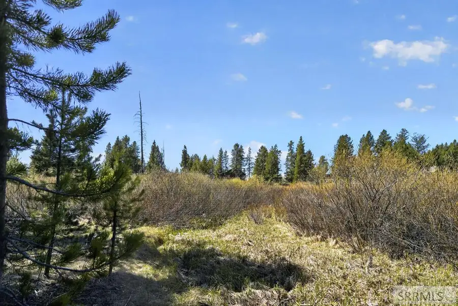 4047 Kickapoo Circle, Island Park, ID 83429 - #3