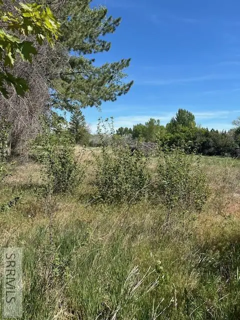634 E 800 N, Firth, ID 83236 - #1
