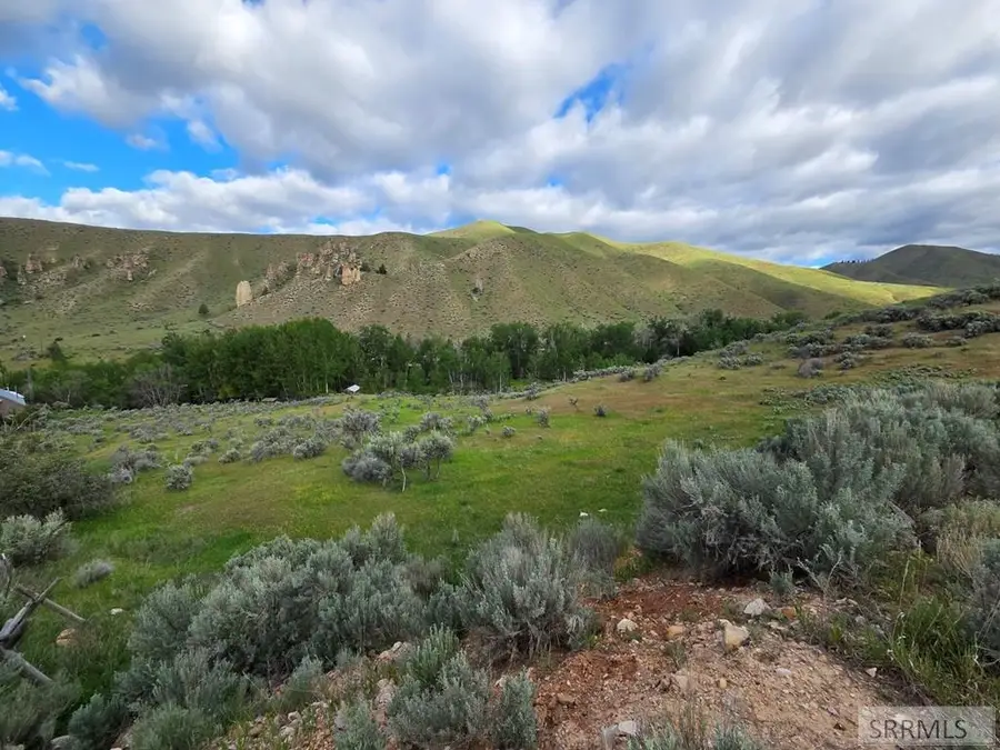 NKN Tower Creek Road, Carmen, ID 83462 - #2