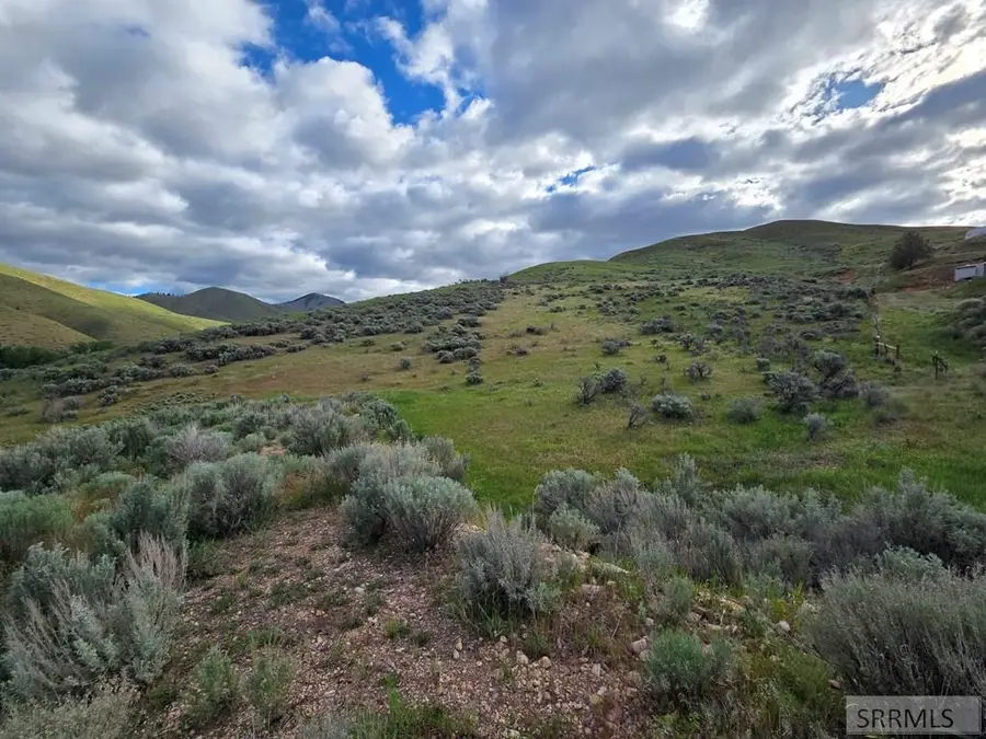 NKN Tower Creek Road, Carmen, ID 83462 - #3