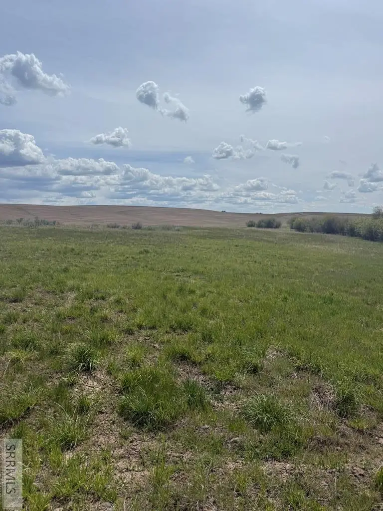 4432 Chickadee Lane, Ashton, ID 83420 - #2