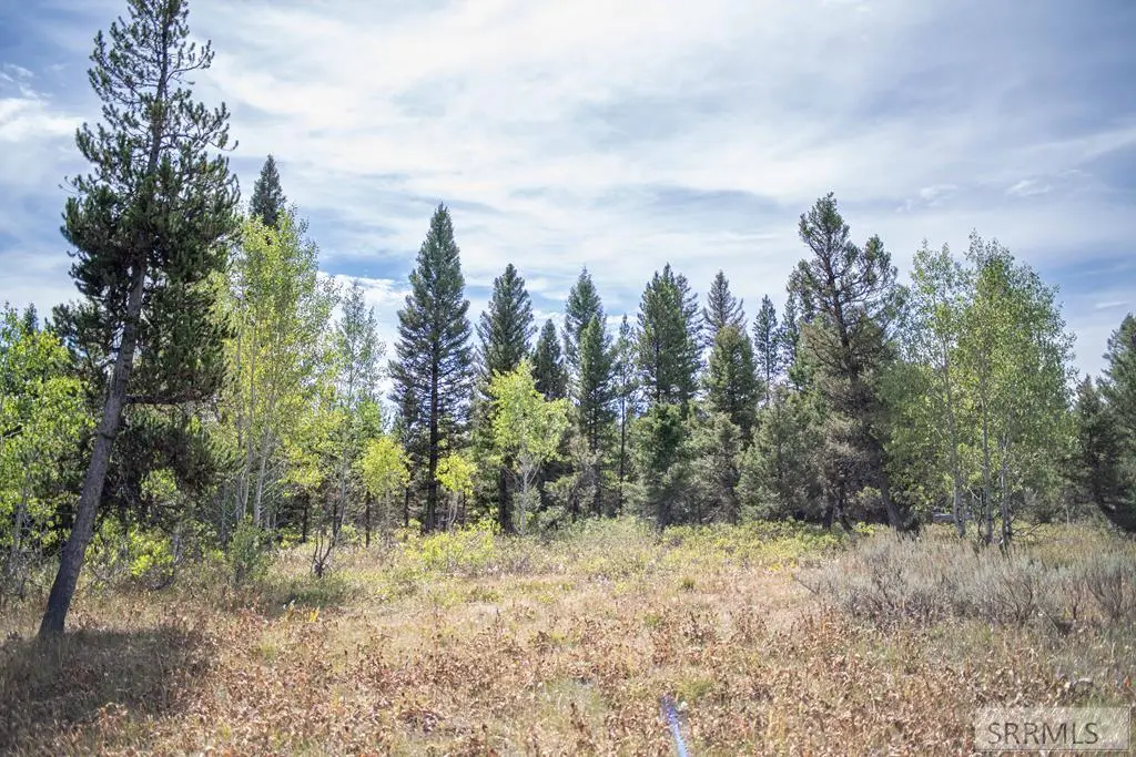 2819 Sagehen Dr, Island Park, ID 83429 - #1