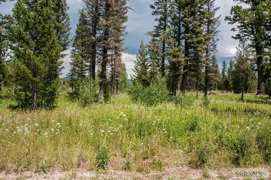 2819 Sagehen Dr, Island Park, ID 83429 - #3
