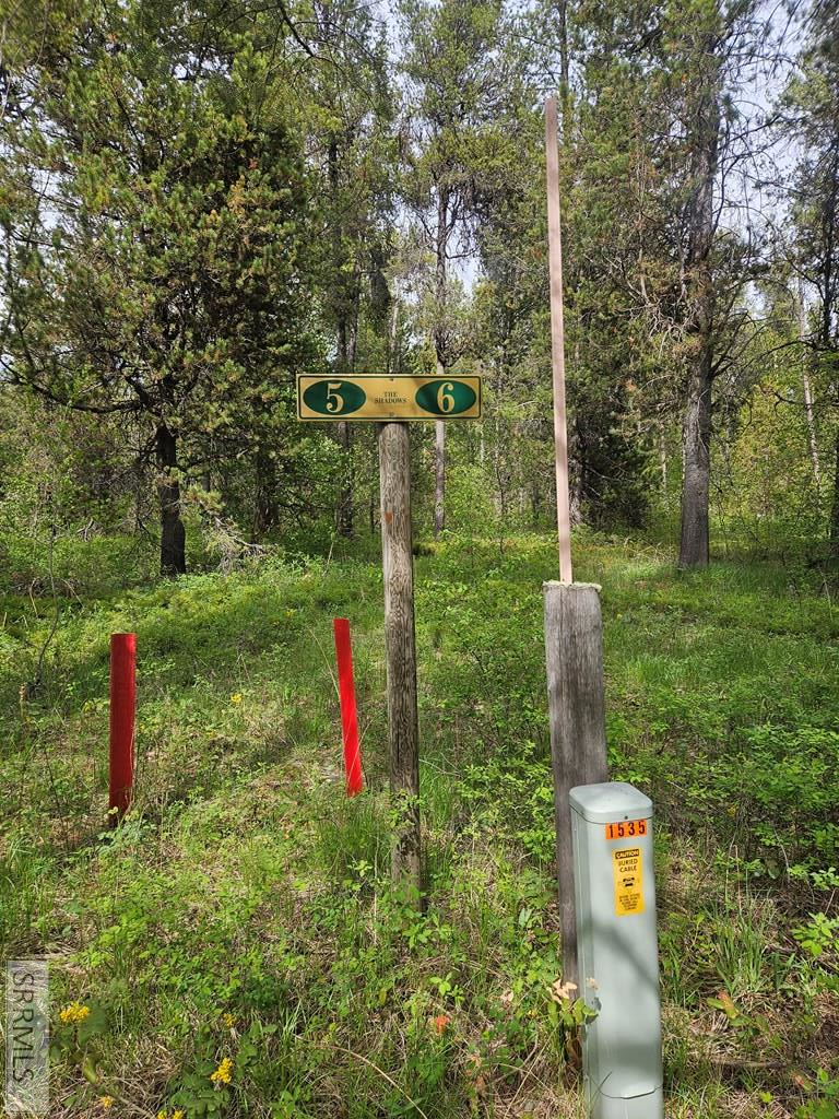 1537 Shadow Run, Ashton, ID 83420 - #2
