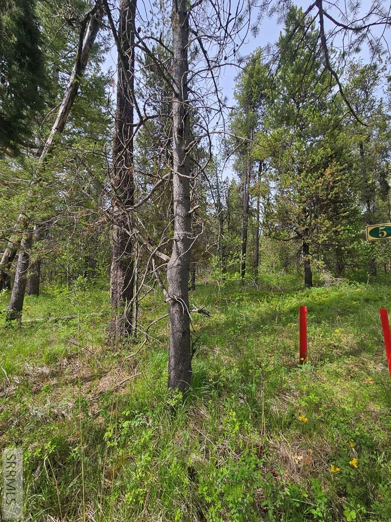 1537 Shadow Run, Ashton, ID 83420 - #3