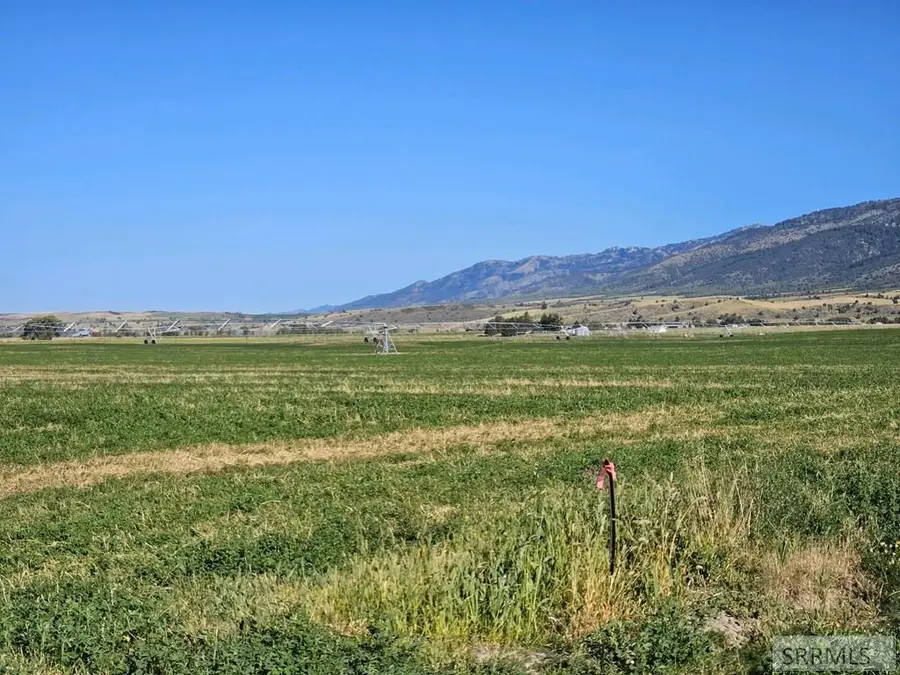 2007 Chapel Road, Swan Valley, ID 83449 - #3