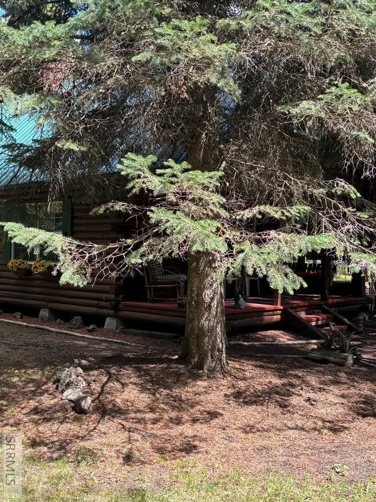 3739 Homestead Drive, Island Park, ID 83429 - #2