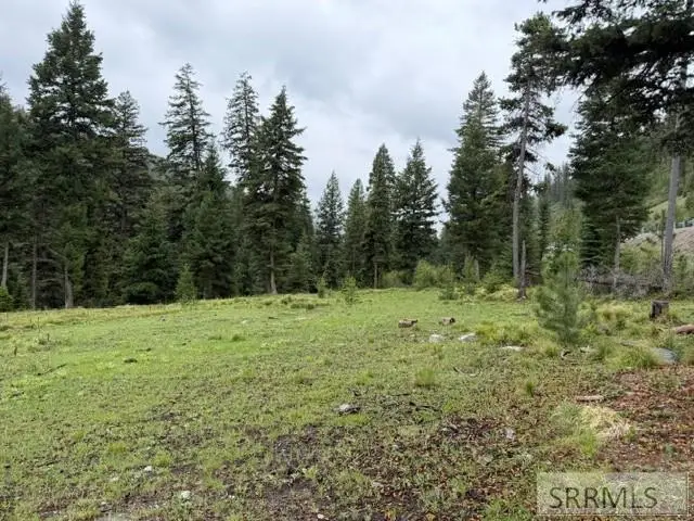 1B Kokopelli Drive, Gibbonsville, ID 83463 - #1